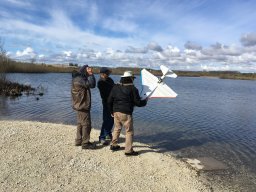 2016 Aug FloatFly